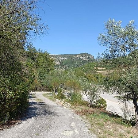 Appartement Rez-De-Jardin Jas Des Baronnies Curnier Екстериор снимка